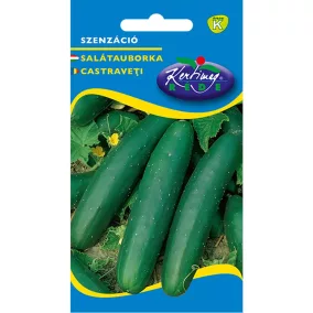 Rédei vetőmag - Szenzáció uborka 2g