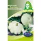 Rédei vetőmag - Óvári fehér patisszon 6g