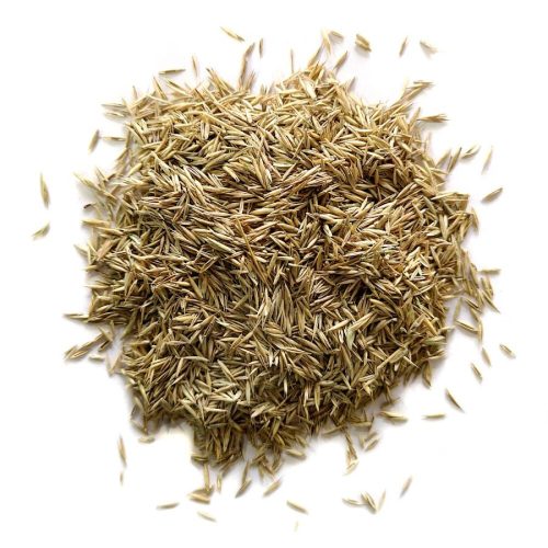 Sport extra fűmagkeverék 10kg (300m2)