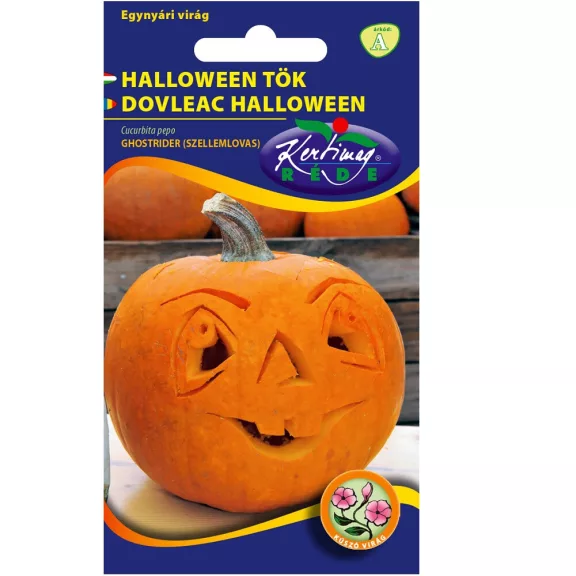 Rédei vetőmag - Halloween tök (dísztök) 2g Rédei vetőmag - Halloween tök (dísztök) 2g