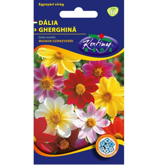 Rédei vetőmag - Dália mignon színkeverék 1g Rédei vetőmag - Dália mignon színkeverék 1g