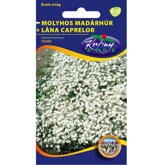 Rédei vetőmag - Fehér molyhos madárhúr 0,25g Rédei vetőmag - Fehér molyhos madárhúr 0,25g